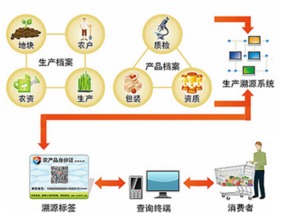 智慧農業(yè)新篇章 蔬菜種子二維碼溯源與支付結算一體化系統(tǒng)